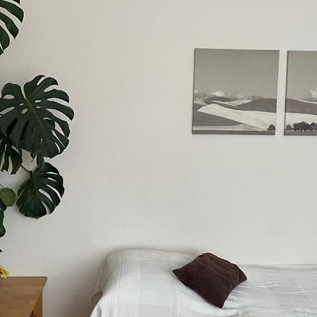 Fewo Oberhausen-Alstaden Оберхаузен Экстерьер фото